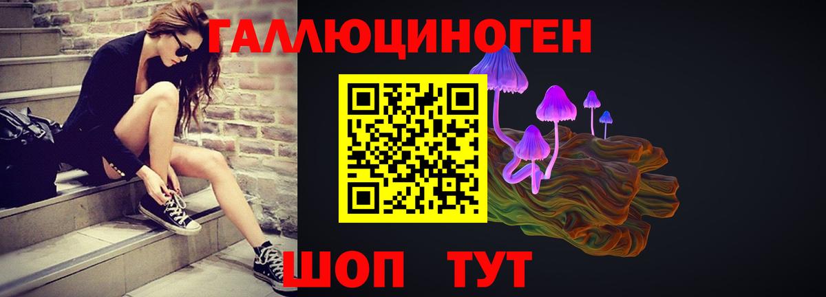 Благовещенск  цены наркотик  Вход с VPN  Галлюциногенные грибы прущие грибы 